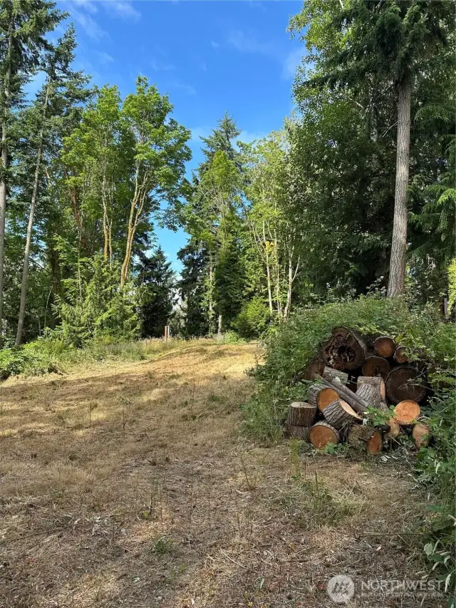 Some timber available