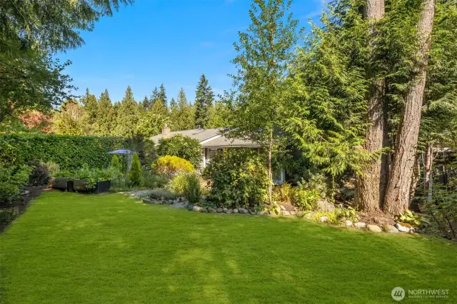 Front yard.