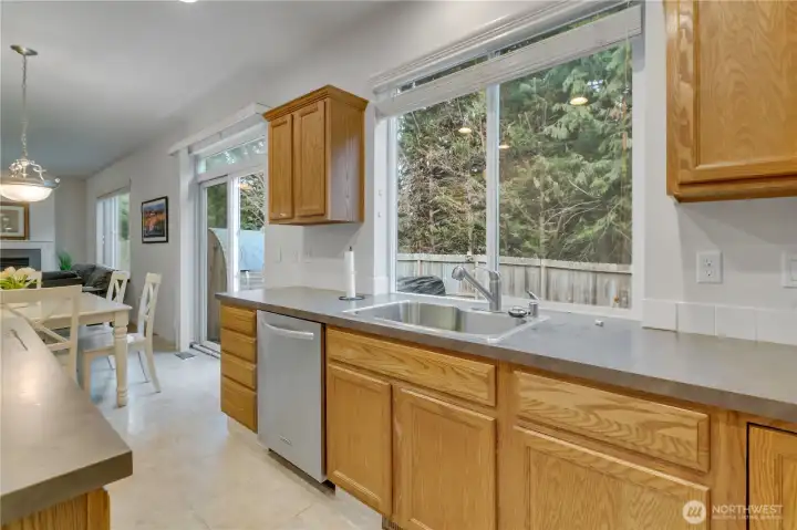 One large kitchen sink with a large window for great lighting.
