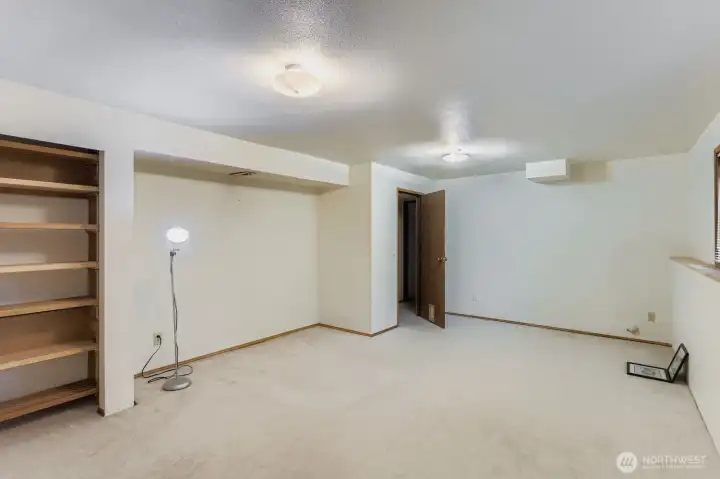 lower level extra finished room