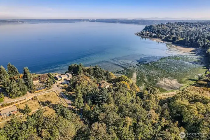 Taken from drone above property.  Approximately 229 feet of Puget Sound Water frontage which is to the right in this picture.