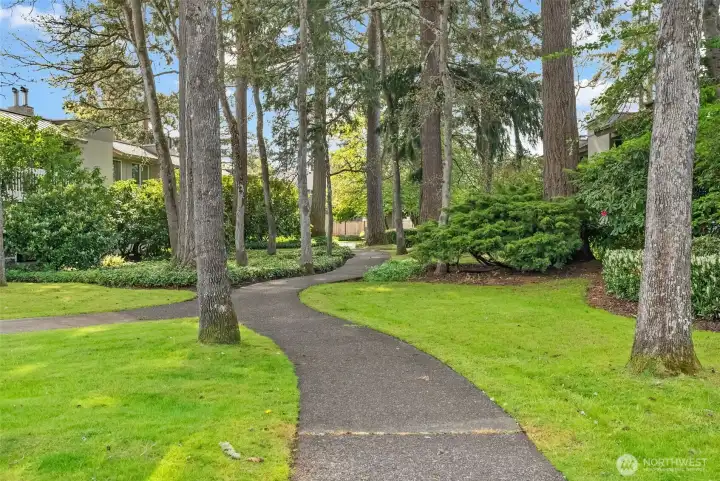 Stroll along well manicured trail