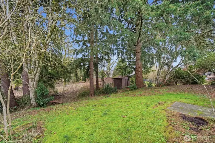Another view of the backyard.