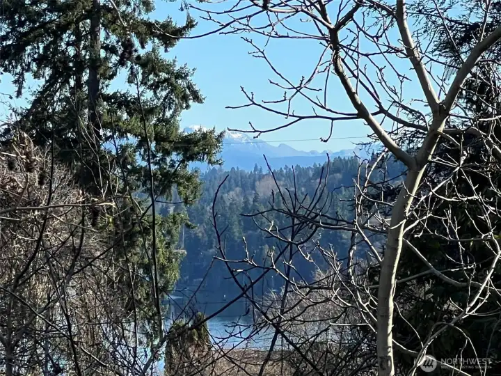 Partial lake and mountian view