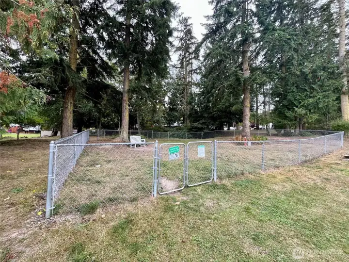Fenced dog park