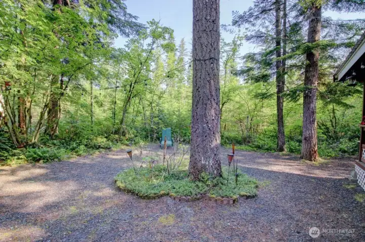 Backed up to a green space