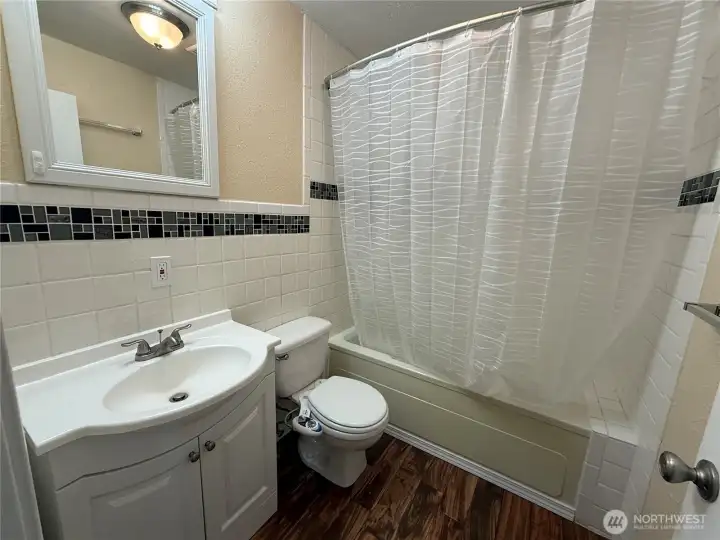 Lower level bathroom, tile surround and accents