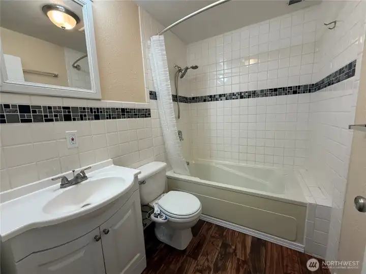 Lower level bathroom, tile surround and accents