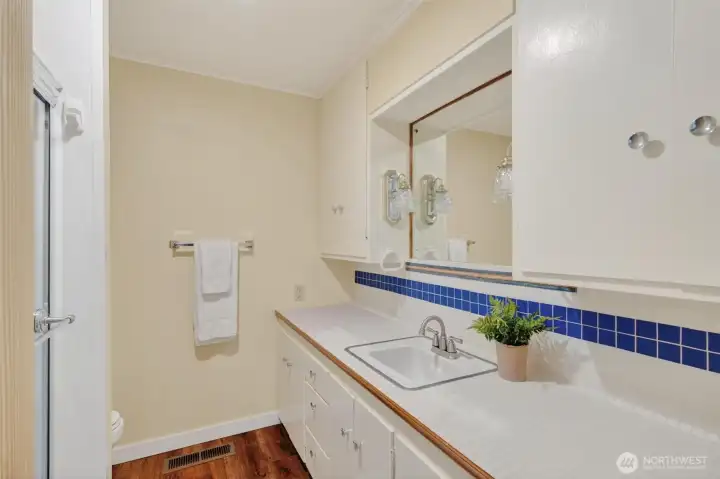 Guest bathroom.