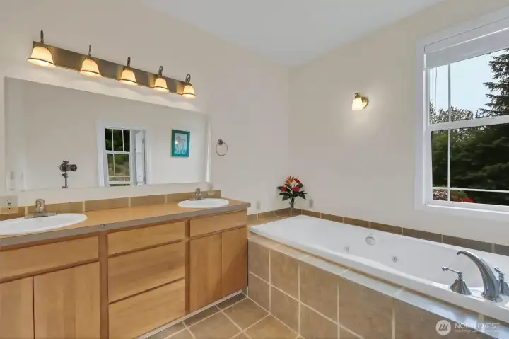 Main floor master bathroom.