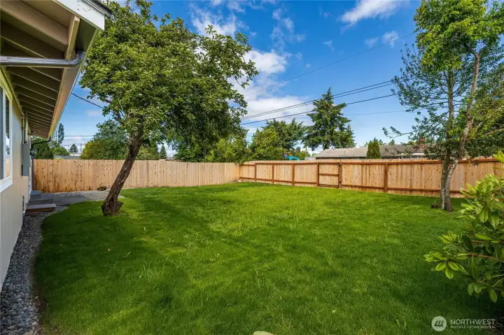 Large fully fenced backyard Large fully fenced backyard