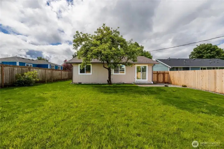 Great backyard for entertaining Great backyard for entertaining