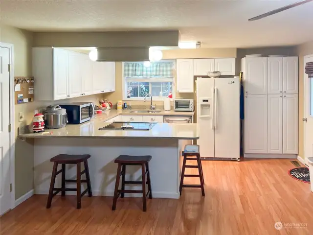 Kitchen with eat at counter - Quartz counters