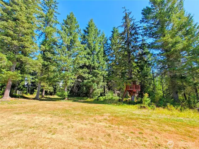 So much land and space around you, even comes with a fun treehouse!