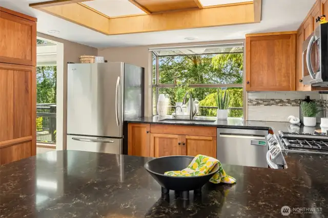 Stainless appliances