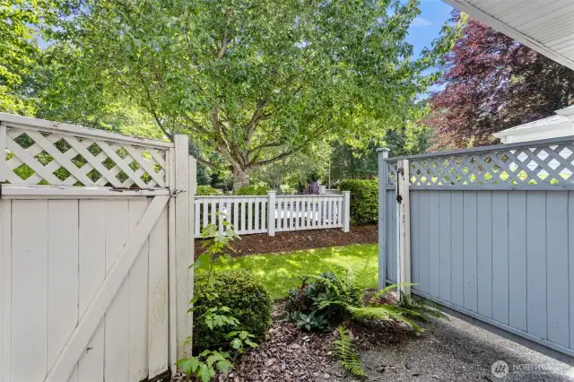 back yard accessible from living room.
