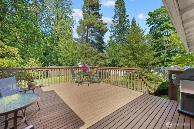 Great space for BBQ's and entertaining!