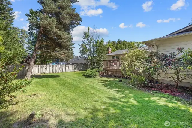 Fully-fenced backyard.
