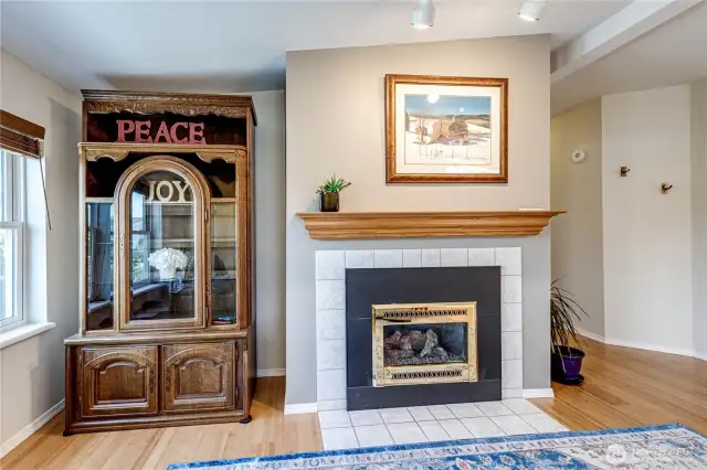 Cozy propane gas fireplace.