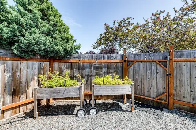 Garden area.