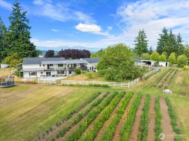 Stunning country estate with daylight ramble, attached studio apartment, barn-style pole building for weddings/events and flower/hobby farm!