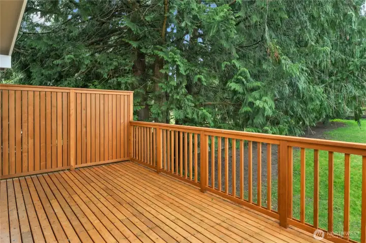 New cedar deck!