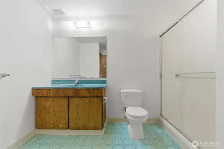 Lower Level Bathroom and Laundry