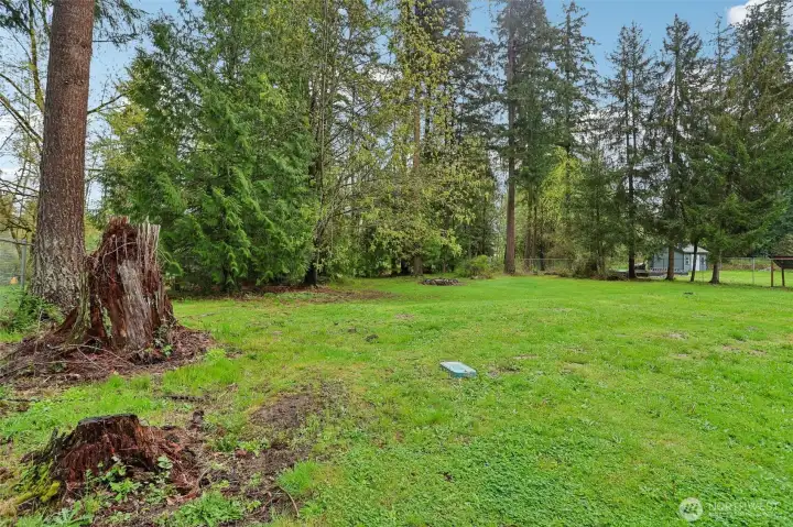 Expansive Private Backyard