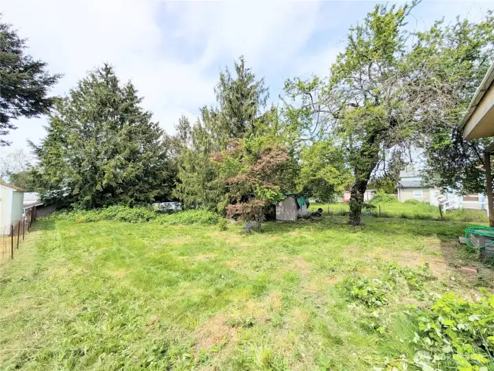 Spacious back yard