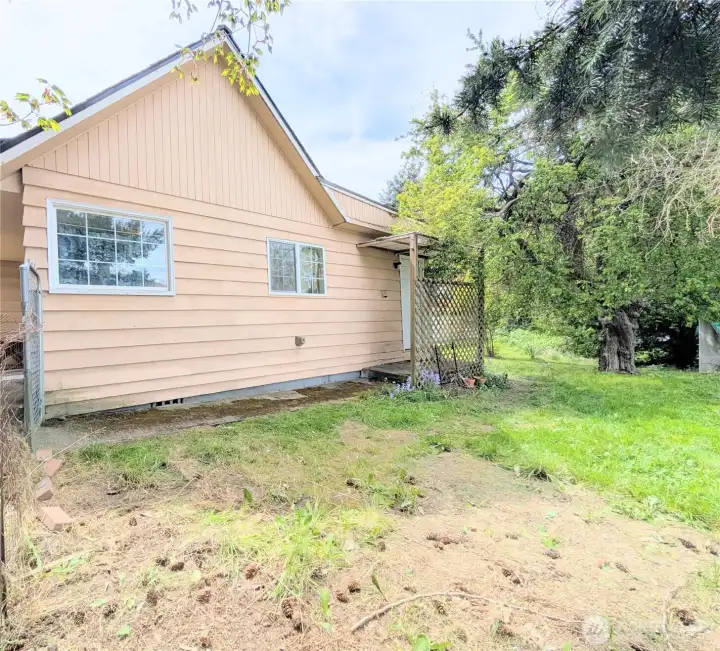 Side yard and back door