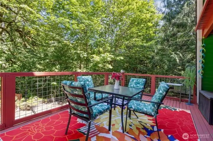 Another view of this immense deck