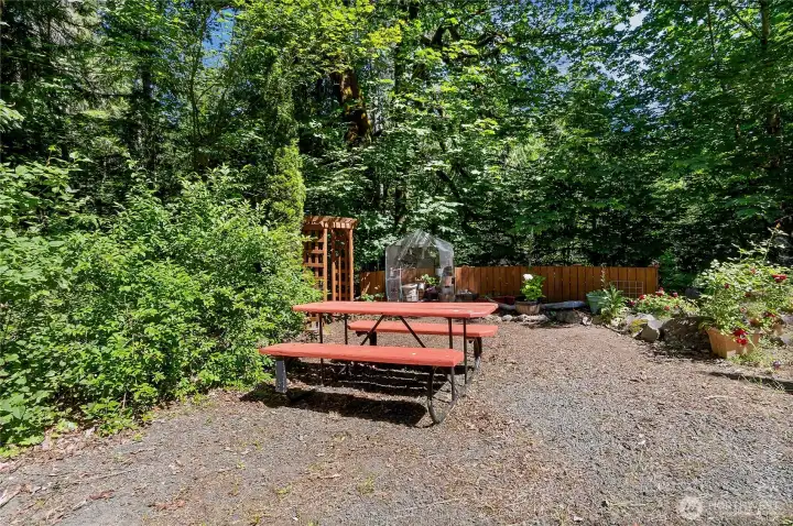 Go past the picnic table through the arbor and down to the running creek below.