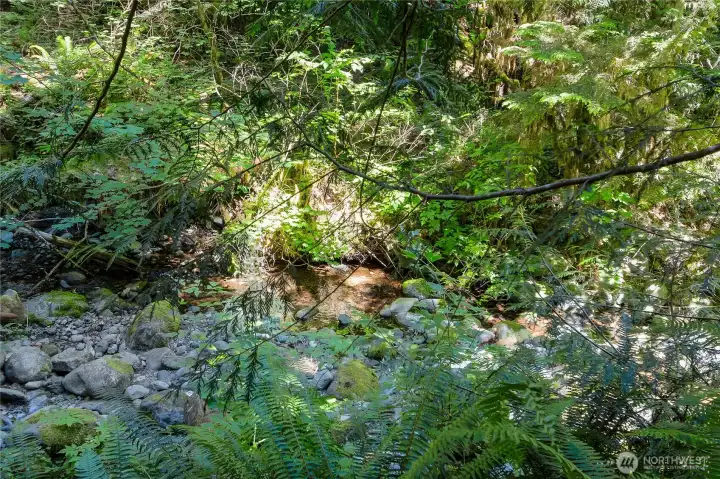The creek!
