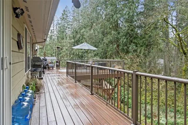 The trex deck extends across the entire back of the house and comes to a more expansive space for furniture and entertaining.