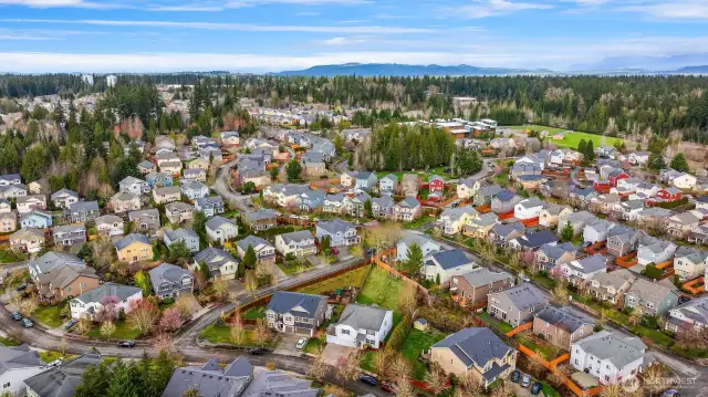 Neighborhood View