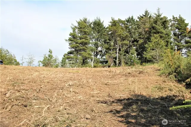 Top of the dune living building site.