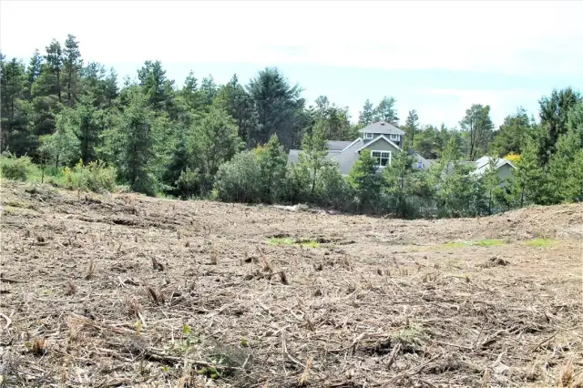 Home site from the top of the hill looking towards the west.