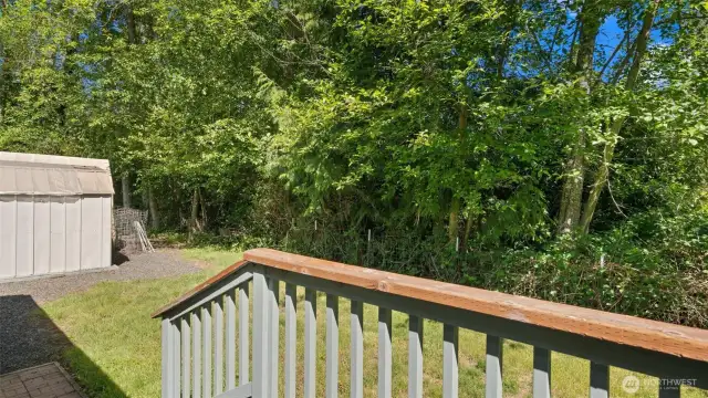 Step outside and exhale. The backyard offers the privacy you've dreamed of and plenty of room to relax, garden, or just enjoy the quietness.