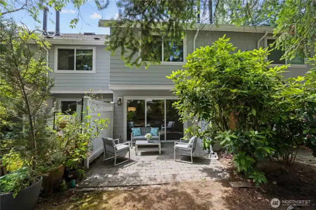 Patio + Yard