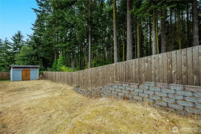 great back yard