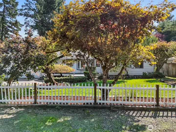 Cute white picket fence and beautiful feature trees