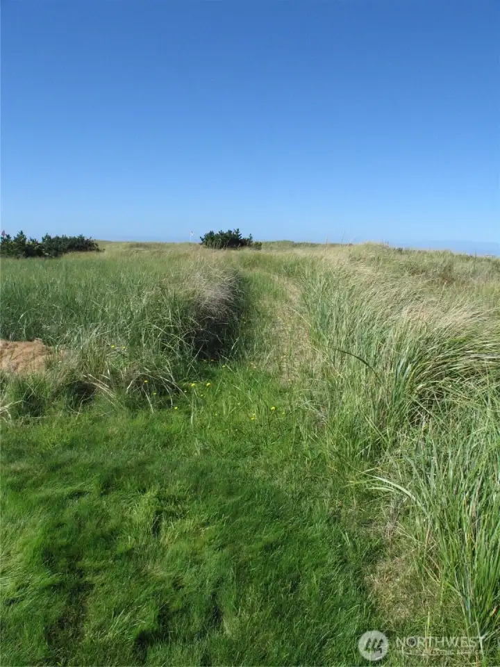 Beach Path
