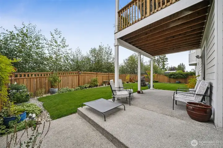 View of the back yard