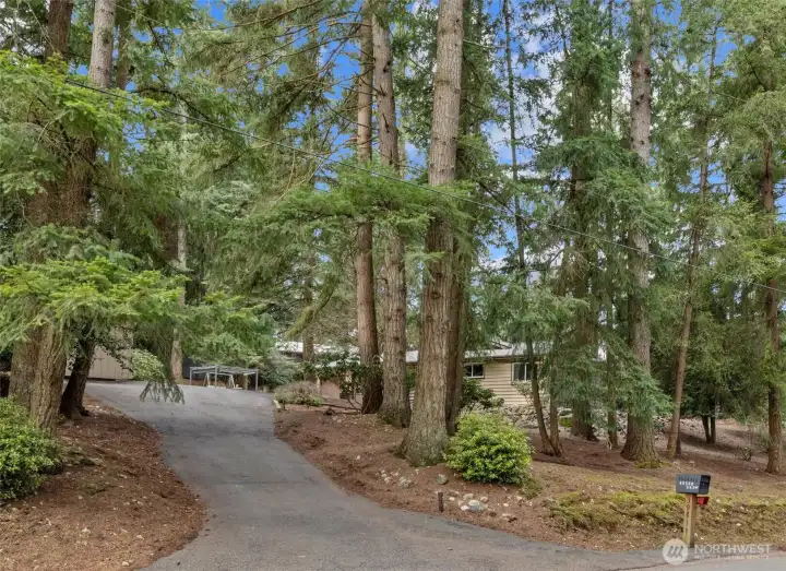 Driveway entrance