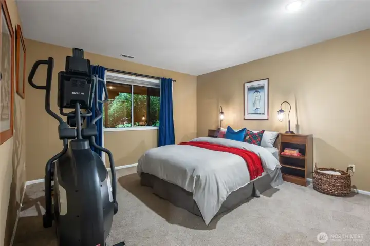 Large, lower level bedroom.