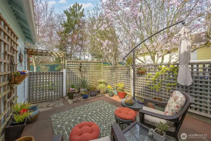 The owners have done so much container gardening and it has created such a lovely and relaxing place to hang out!