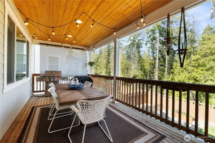 Partial view from your main-floor covered patio. Come see for yourself - the rest is even more wonderful. This covered patio is just off the dining room (and great room). Ready for BOTH your grill types (gas and electric / smoker style). Lovely space and beautiful, day or night!