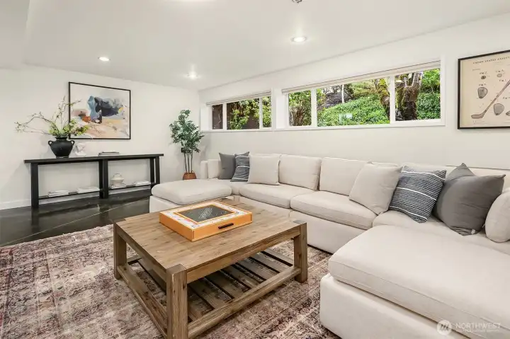 Lower level media room, extra living area.