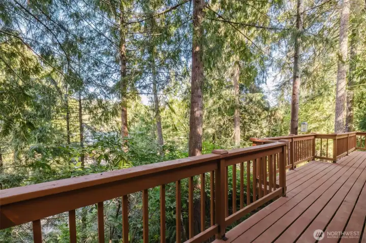 Like a tree house back here