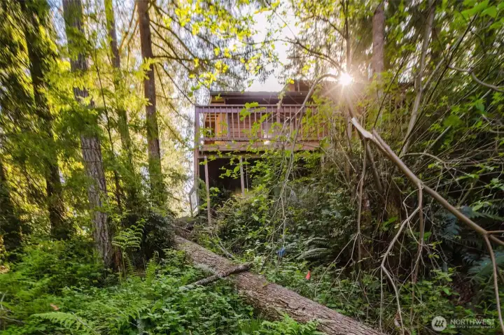 Like a treehouse.  Also easy access to the crawlspace